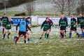 Monaghan Legends V Perennials (29)
